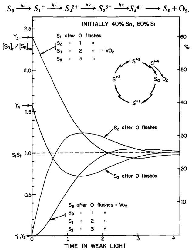 图2191202.jpg