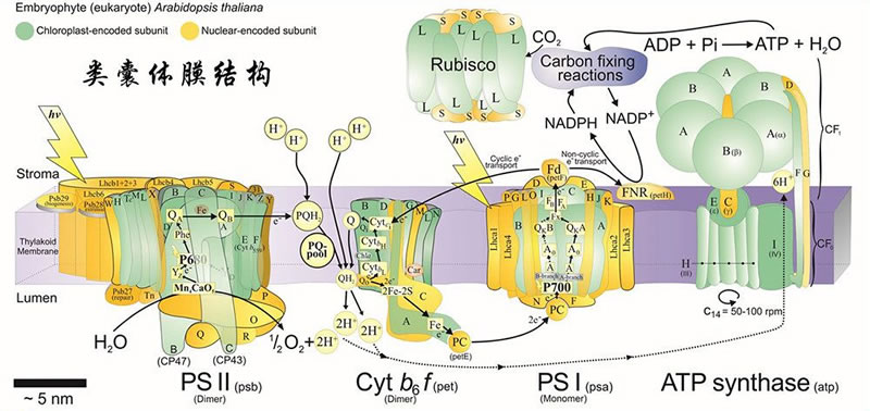 图2200520.jpg