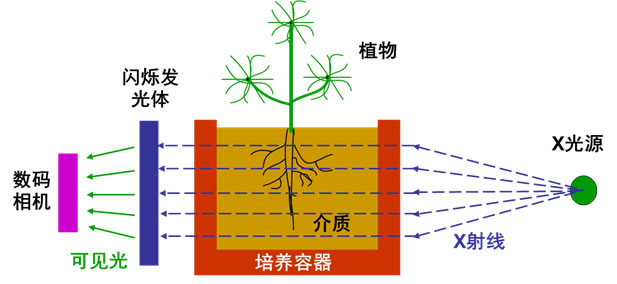 图224050902.jpg